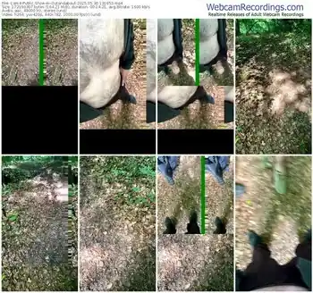 cam4-outandabout-05-30-2025-13-16-53