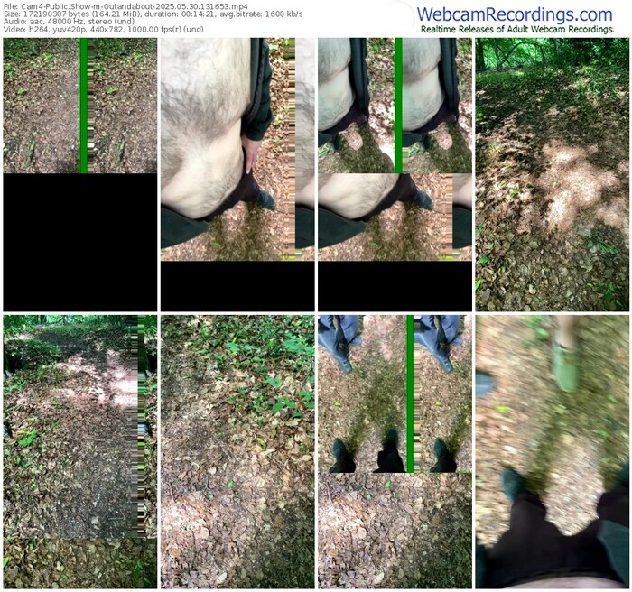 cam4-outandabout-05-30-2025-13-16-53