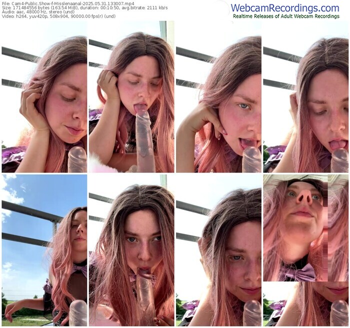 cam4-misslenaanal-05-31-2025-13-30-07