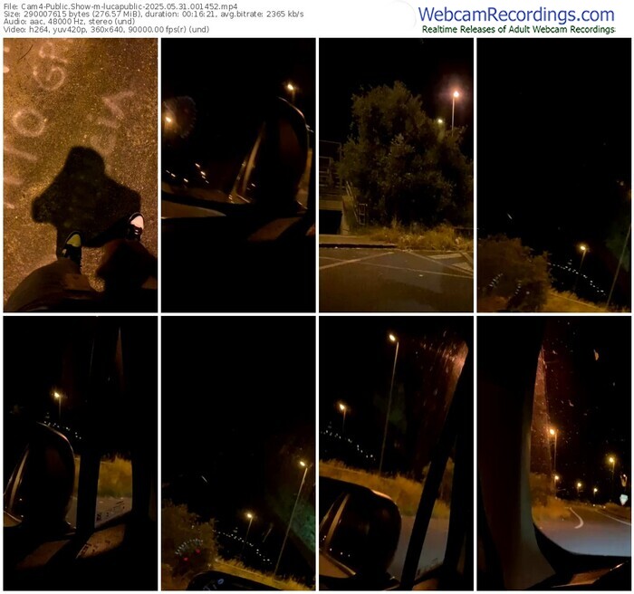 cam4-lucapublic-05-31-2025-00-14-52