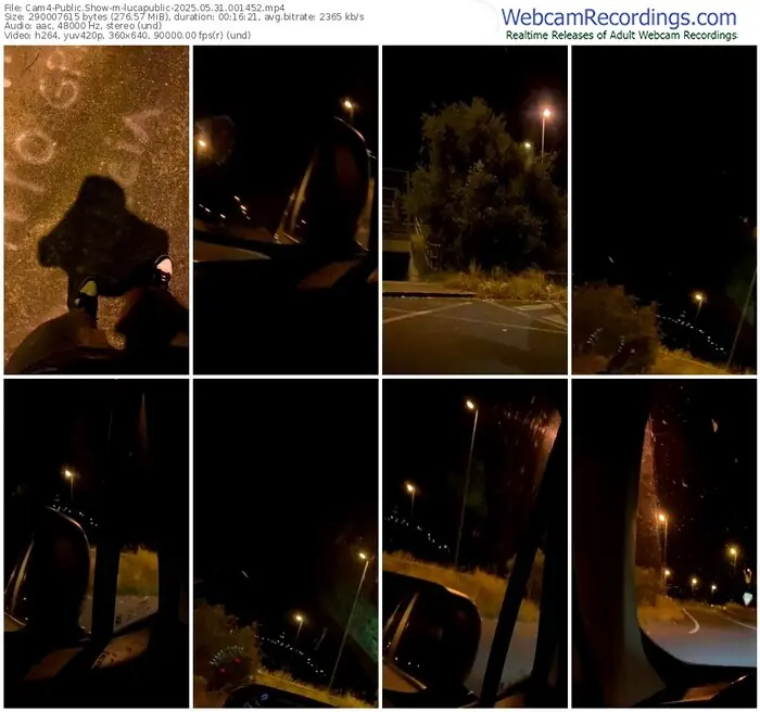 cam4-lucapublic-05-31-2025-00-14-52