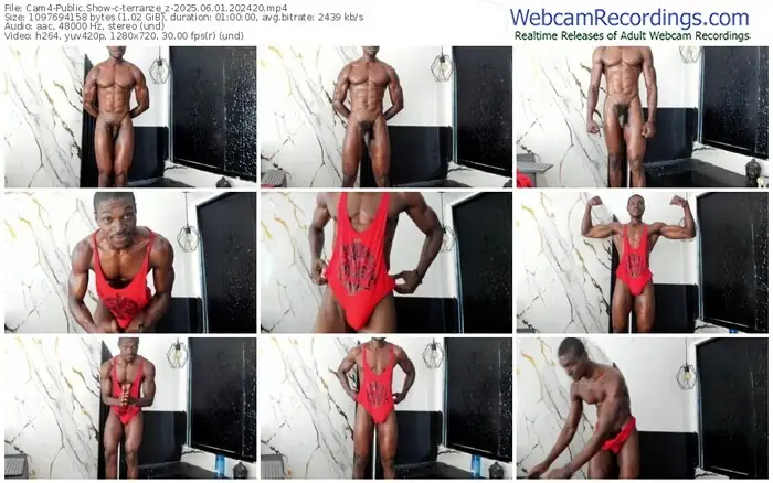 cam4-terranze_z-06-01-2025-20-24-20