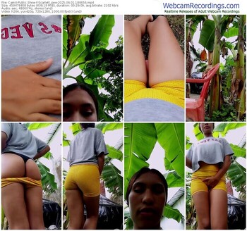 cam4-scarlett_pee-06-01-2025-18-06-56
