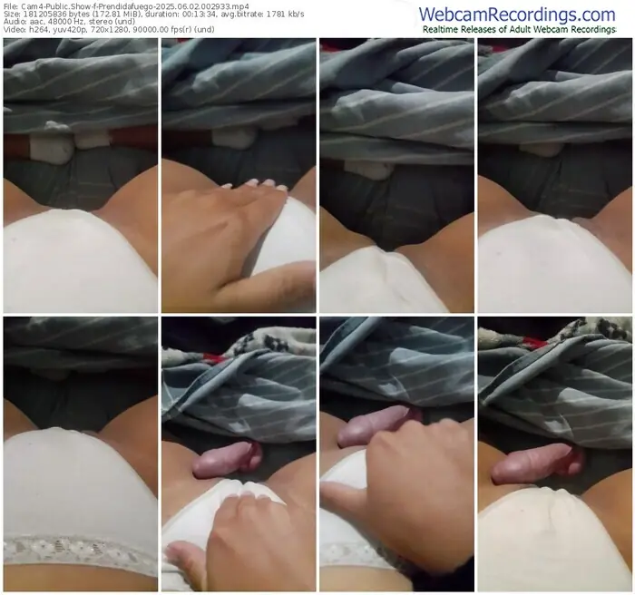 cam4-prendidafuego-06-02-2025-00-29-33