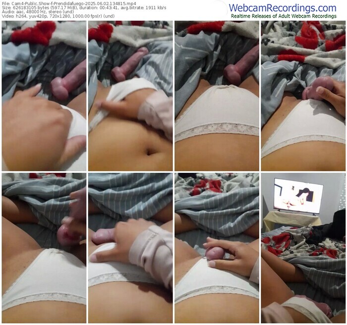 cam4-prendidafuego-06-02-2025-13-48-15