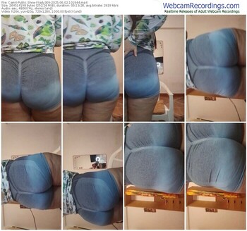 cam4-lady309-06-02-2025-10-19-44