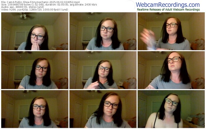 cam4-tinymechanic-06-02-2025-02-40-52