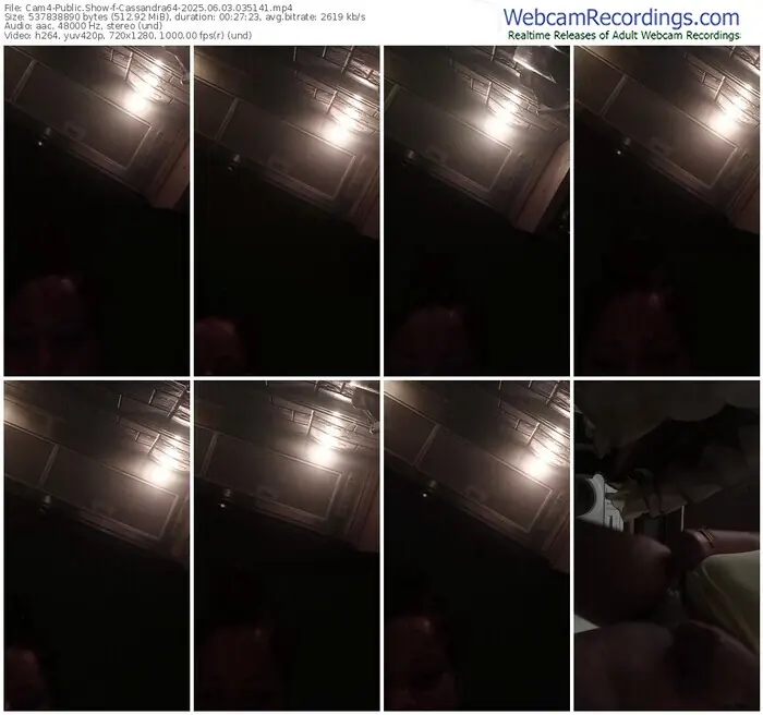 cam4-cassandra64-06-03-2025-03-51-41