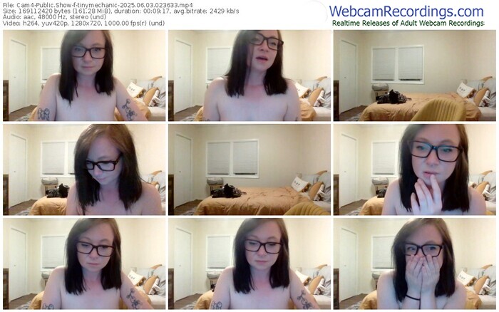cam4-tinymechanic-06-03-2025-02-36-33