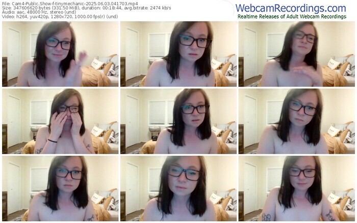 cam4-tinymechanic-06-03-2025-04-17-03