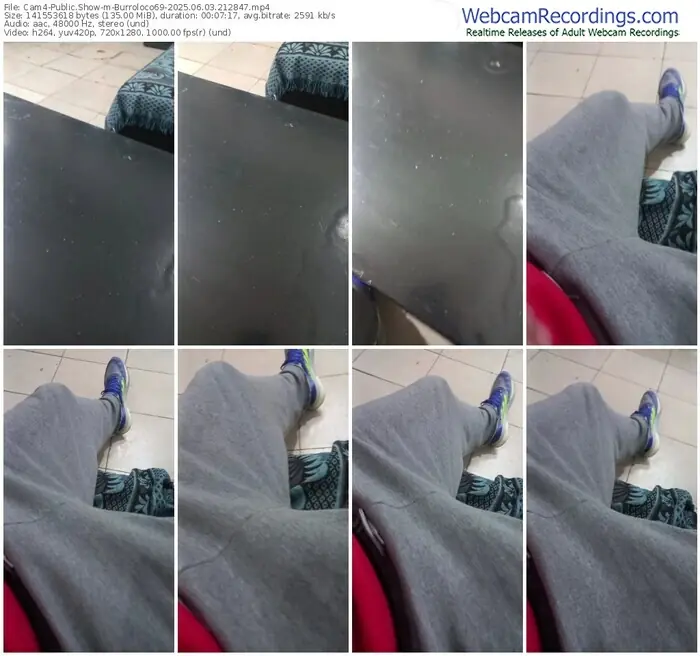 cam4-burroloco69-06-03-2025-21-28-47