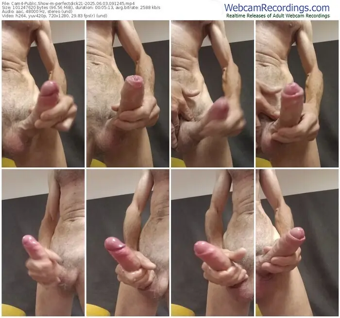 cam4-perfectdick21-06-03-2025-09-12-45