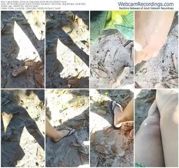 cam4-gatonota-06-04-2025-16-54-57