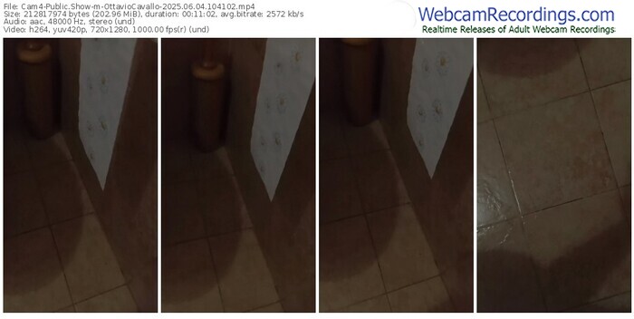 cam4-ottaviocavallo-06-04-2025-10-41-02
