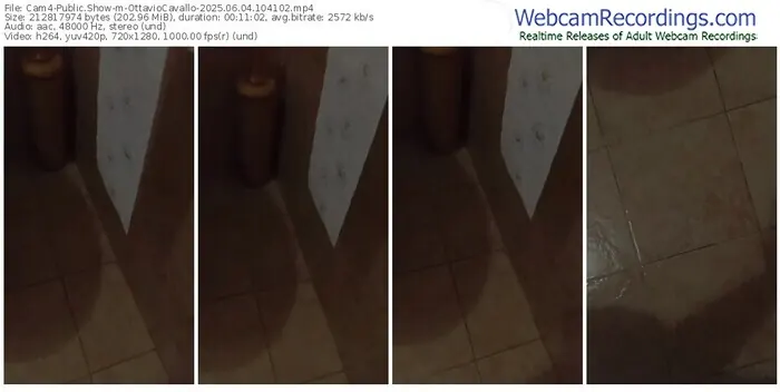 cam4-ottaviocavallo-06-04-2025-10-41-02