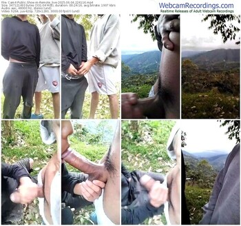 cam4-remote_live-06-04-2025-22-41-16