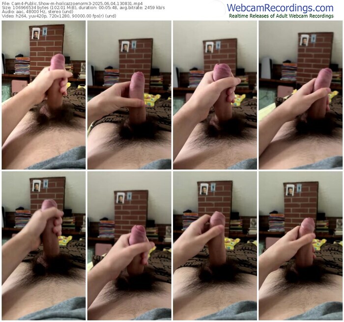 cam4-hoilcazzoenorm3-06-04-2025-13-08-31