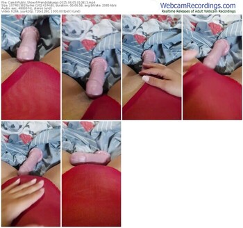 cam4-prendidafuego-06-05-2025-01-08-13