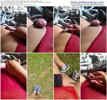 cam4-prendidafuego-06-05-2025-13-48-49