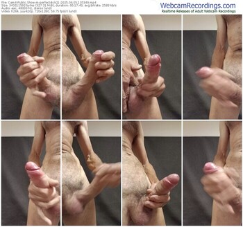 cam4-perfectdick21-06-05-2025-13-53-49