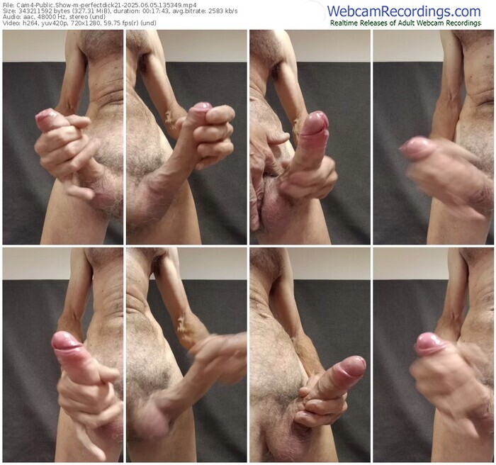 cam4-perfectdick21-06-05-2025-13-53-49