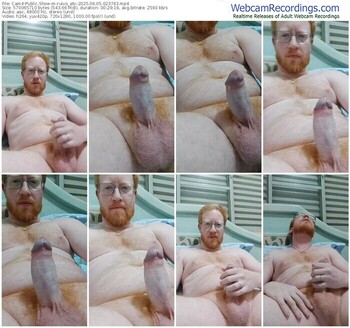 cam4-ruivo_atv-06-05-2025-02-37-43