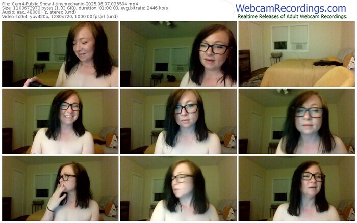 cam4-tinymechanic-06-07-2025-03-55-04