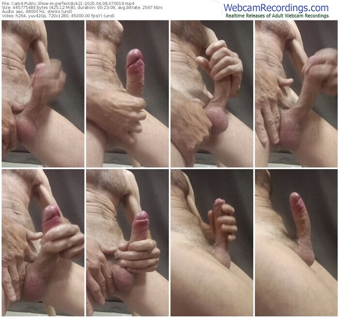 cam4-perfectdick21-06-08-2025-07-00-19