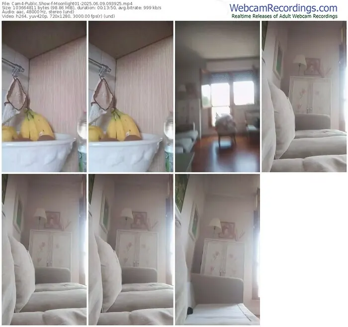 cam4-moonlight01-06-09-2025-09-39-25