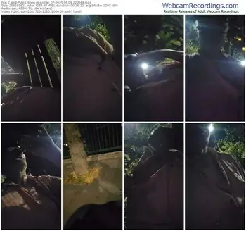 cam4-pollen_07-06-09-2025-22-20-48