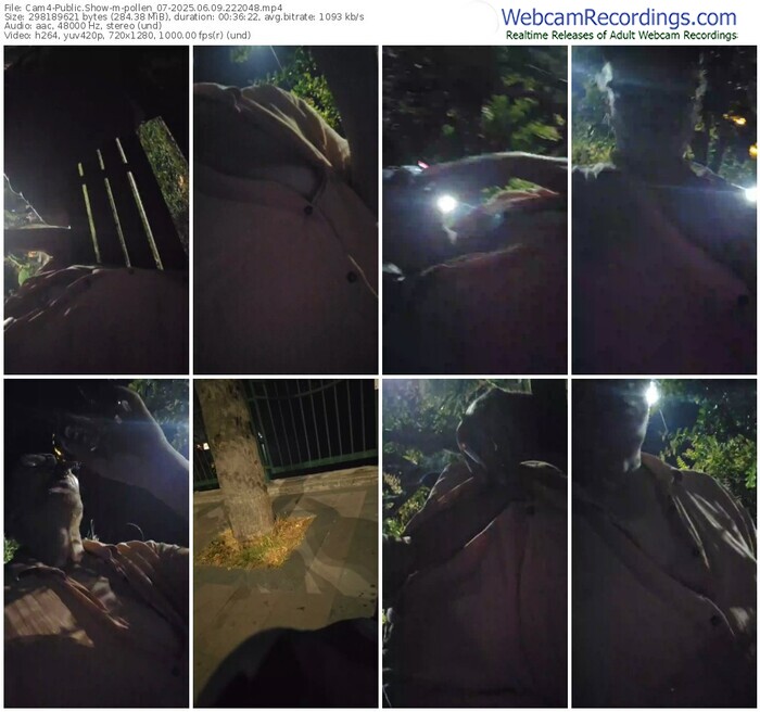 cam4-pollen_07-06-09-2025-22-20-48