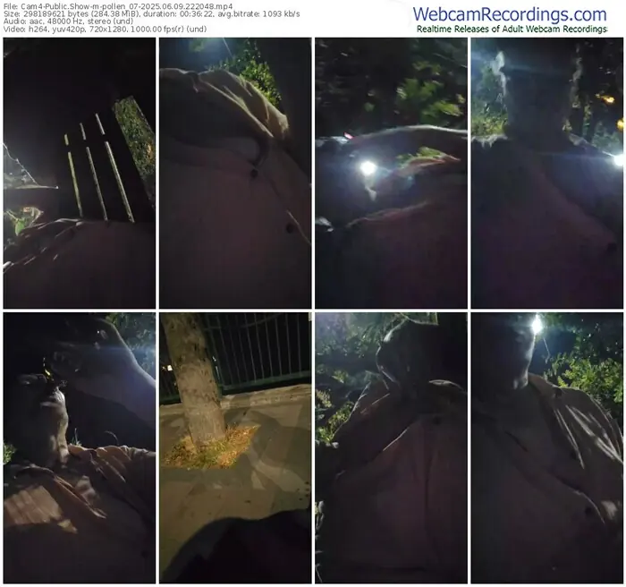 cam4-pollen_07-06-09-2025-22-20-48