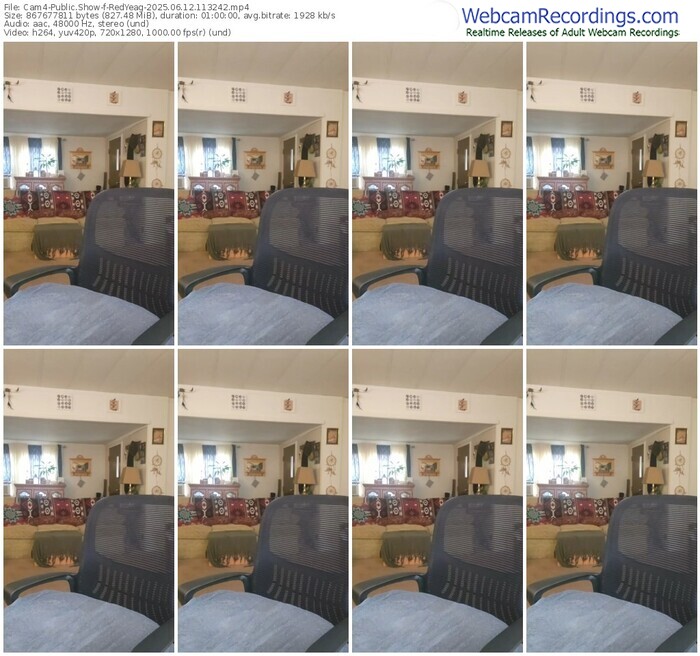 cam4-redyeag-06-12-2025-11-32-42