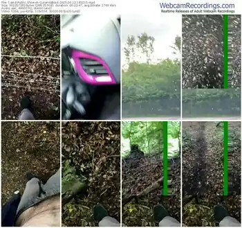 cam4-outandabout-06-12-2025-18-32-15