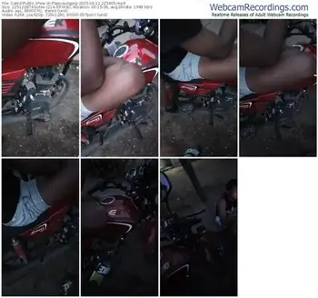 cam4-papiyoungpig-06-12-2025-22-54-05