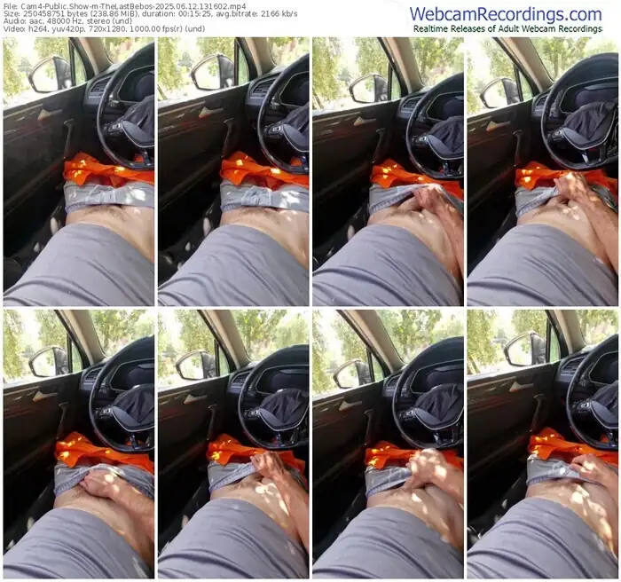 cam4-thelastbebos-06-12-2025-13-16-02