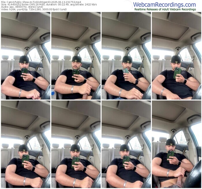 cam4-ticklishtiger43-06-13-2025-23-17-53