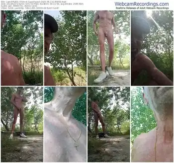 cam4-lupoimpact-06-13-2025-13-58-59