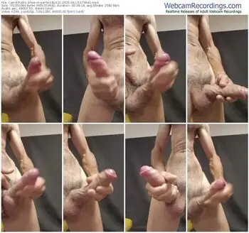 cam4-perfectdick21-06-13-2025-07-46-41