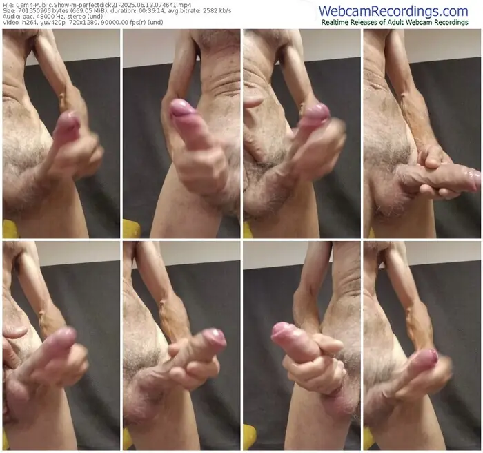 cam4-perfectdick21-06-13-2025-07-46-41