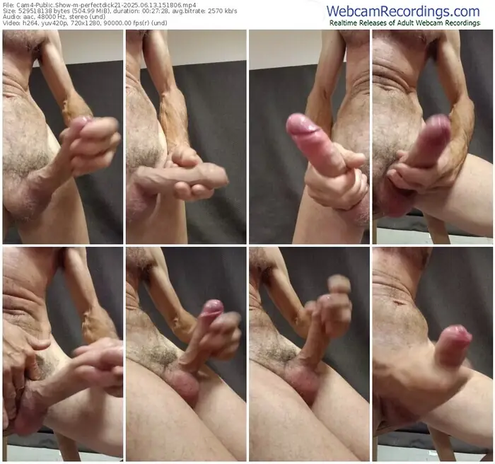 cam4-perfectdick21-06-13-2025-15-18-06