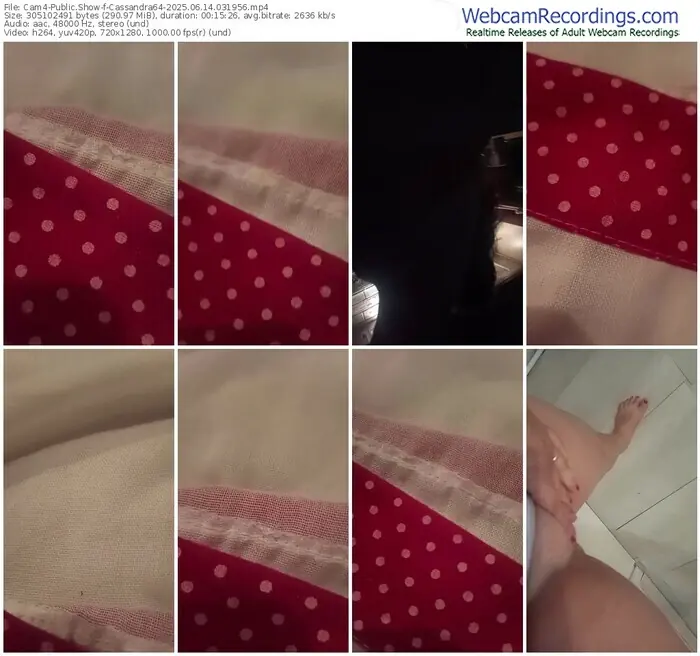 cam4-cassandra64-06-14-2025-03-19-56