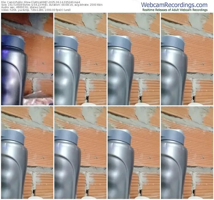 cam4-lettice0987-06-14-2025-03-52-40