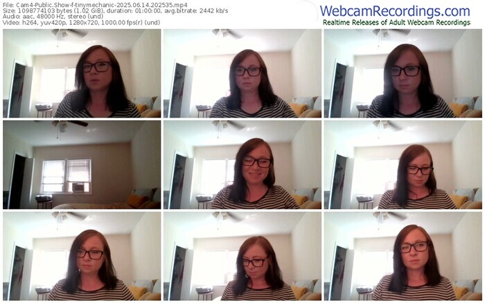 cam4-tinymechanic-06-14-2025-20-25-35