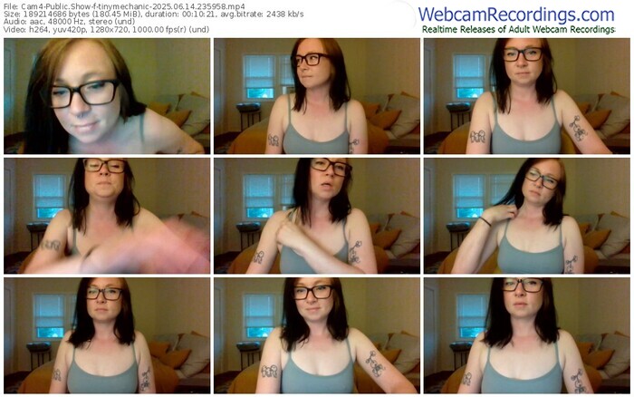 cam4-tinymechanic-06-14-2025-23-59-58