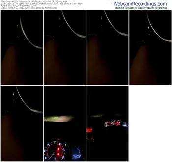 cam4-outandabout-06-14-2025-00-00-56