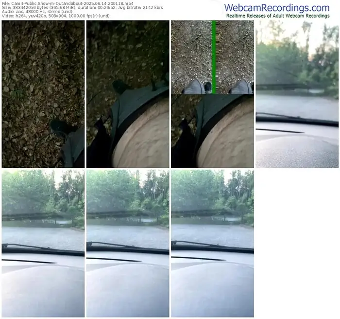 cam4-outandabout-06-14-2025-20-01-18