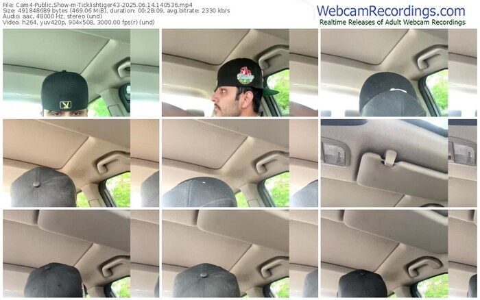 cam4-ticklishtiger43-06-14-2025-14-05-36
