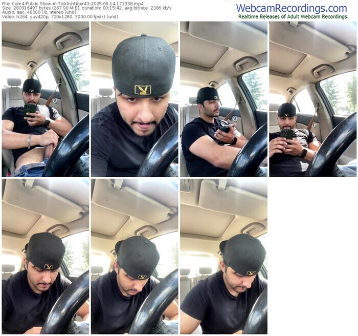 cam4-ticklishtiger43-06-14-2025-17-13-38