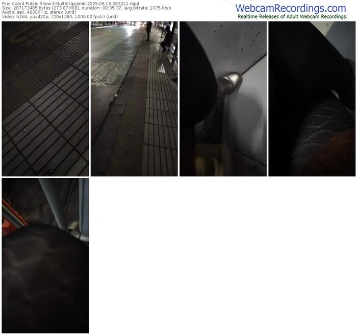 cam4-multi0rgasmik-06-15-2025-08-32-11